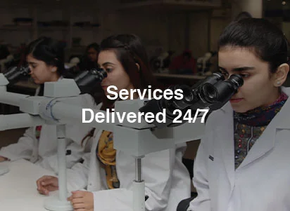 Services Delivered 24/7