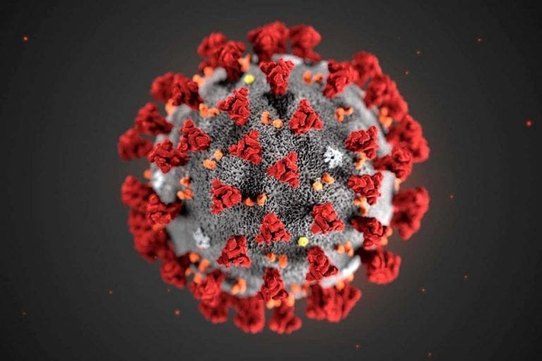 https://chughtailab.com?s=Frequently+Asked+Questions+on+Corona+Virus