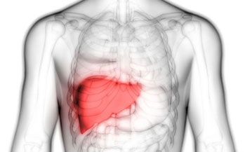 Liver Function Tests  (LFT)
