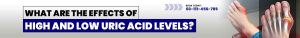 high and low uric acid levels