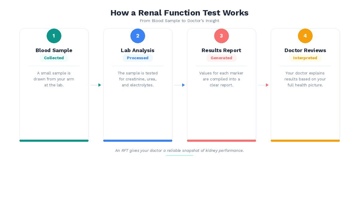 Process flow infographic showing how a renal function test works from blood sample to doctor review.
