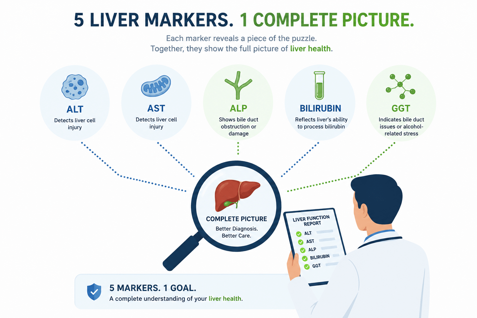 Technical infographic showing how ALT, AST, ALP, bilirubin, and GGT combine into one clinical liver assessment
