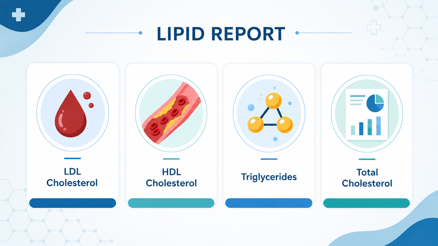 Infographic explaining the four main values in a lipid report: LDL cholesterol, HDL cholesterol, triglycerides, and total cholesterol