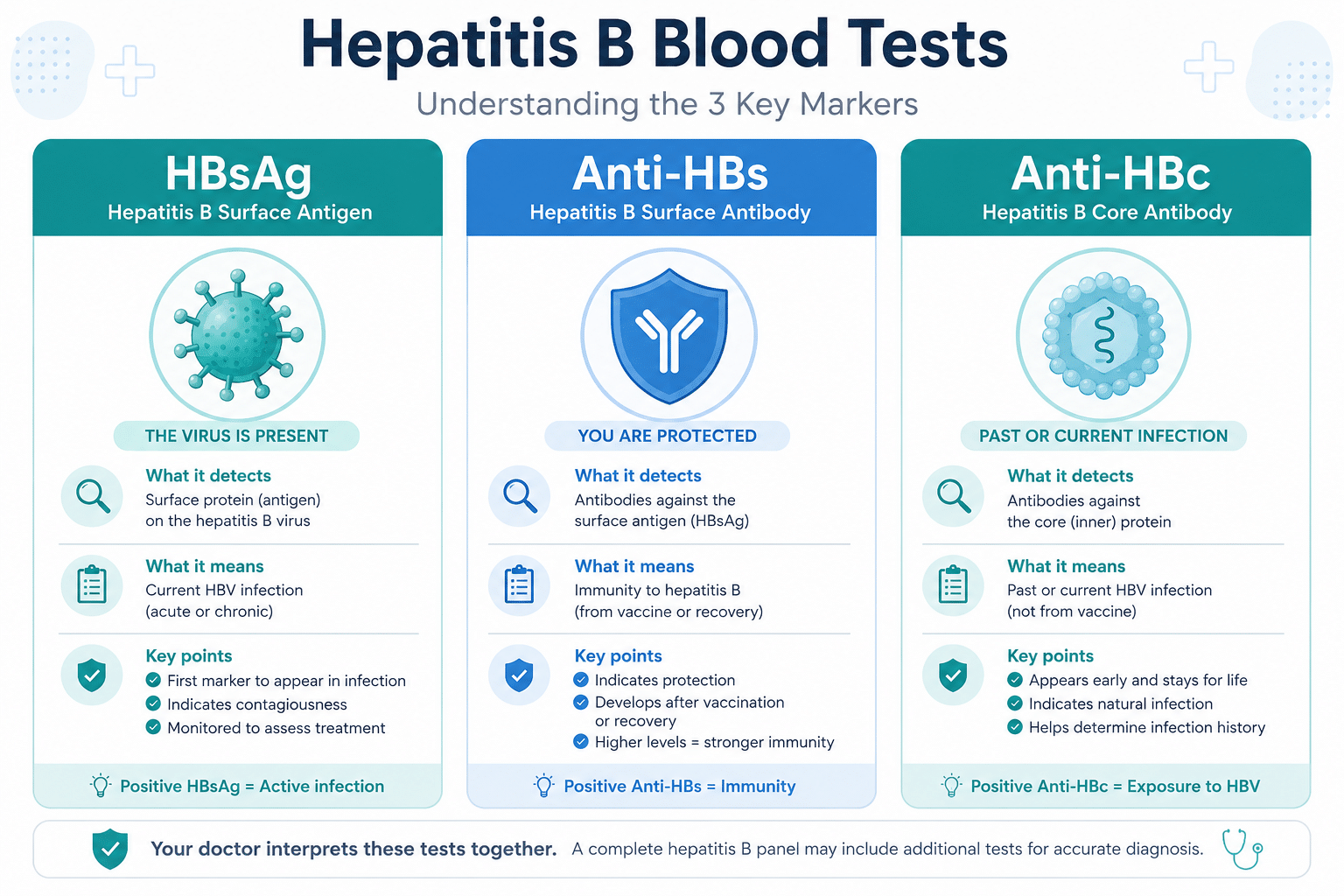 HBsAg vs Anti-HBs vs Anti-HBc hepatitis B blood tests comparison infographic